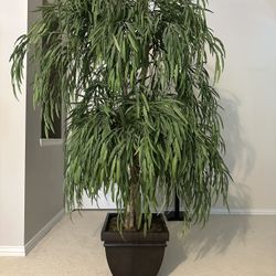 Indoor Faux Plant