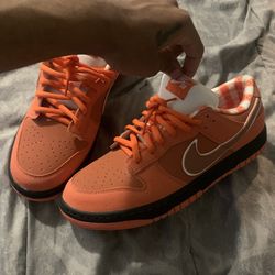 Lobster sb dunks