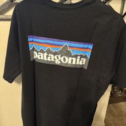 Patagonia shirt