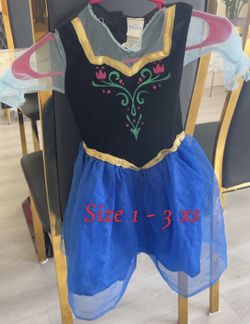 Halloween Princess Costume