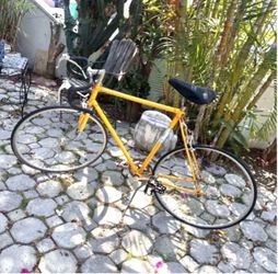 Vintage TAKARA Bike 12 Speed