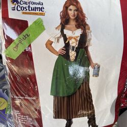 Tavern Maiden Costume