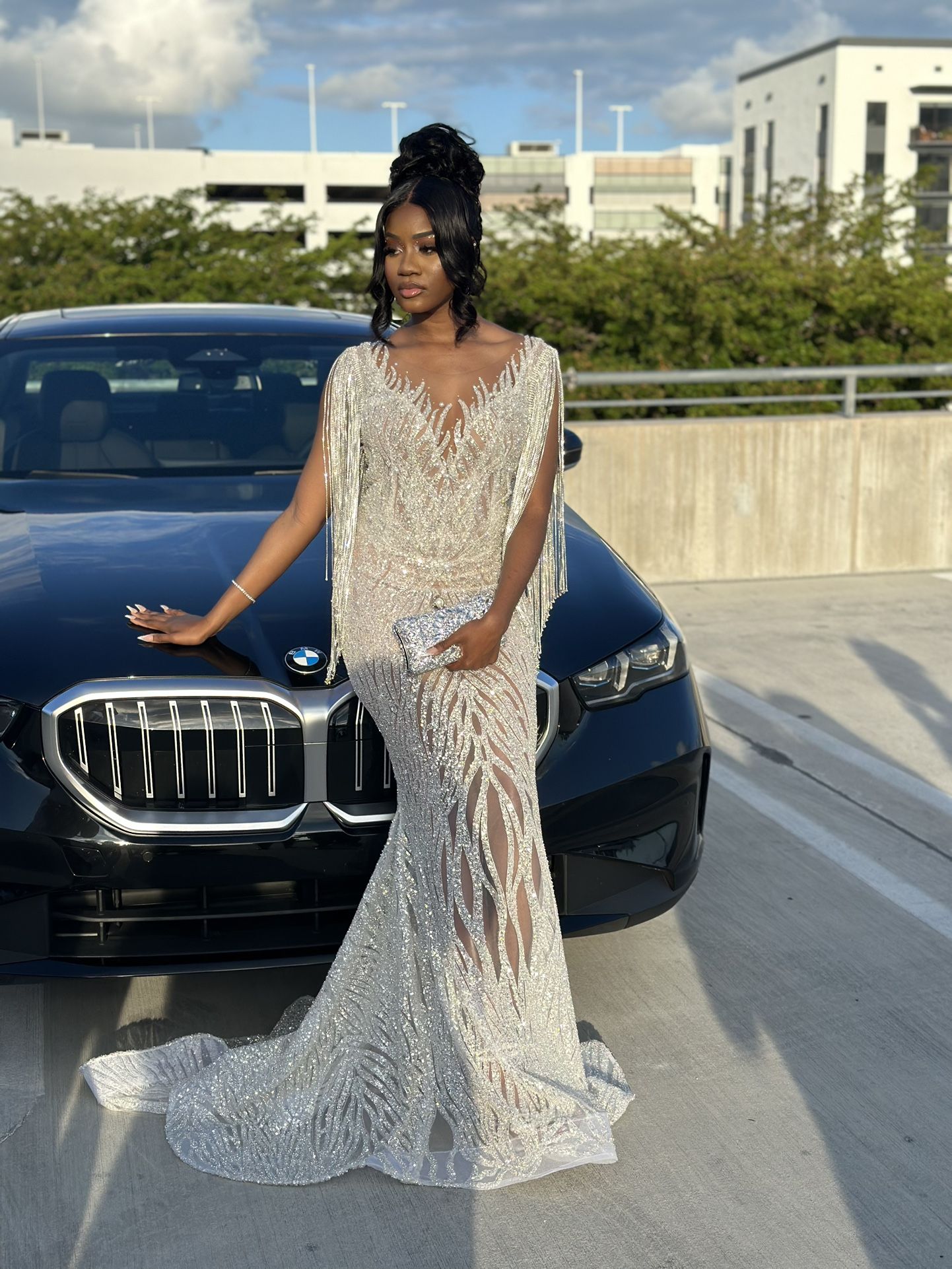 Elegant Dress