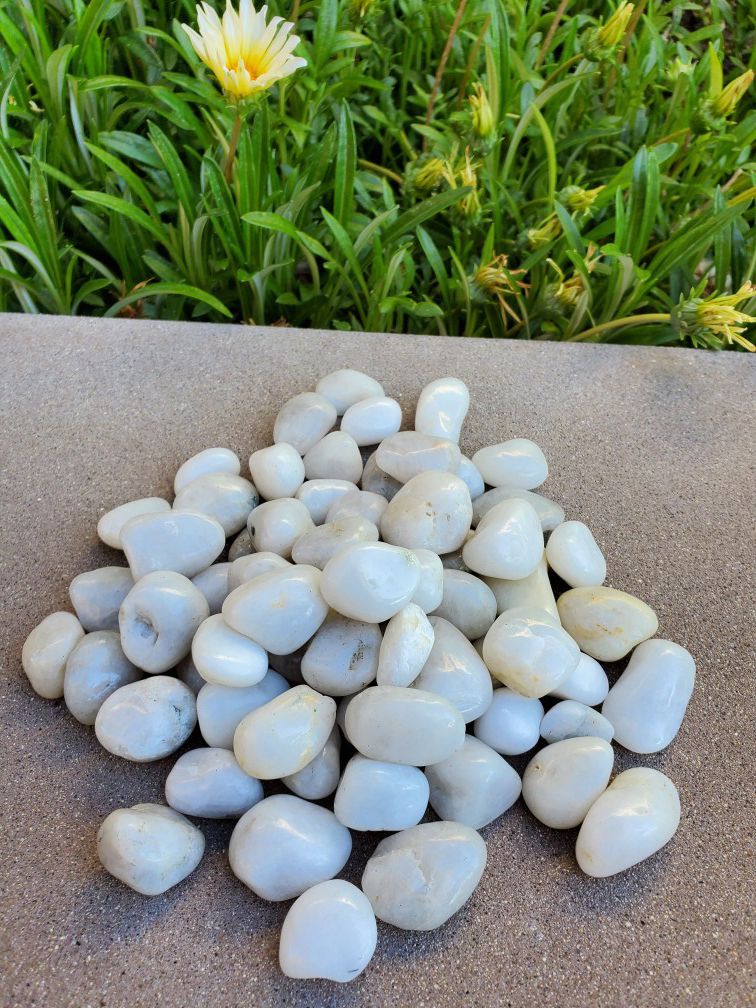 44 pound bag of Ultra polished pearl white pebble size ¼-½". landscaping decor rocks pebbles garden. Suculents. Patio. Aquarium. landscape river rocks