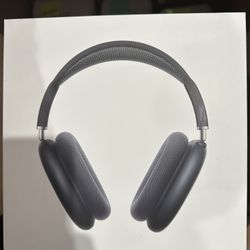 Apple AirPods Max Wireless Over-Ear Headphones Pro-Level Open Box (choose color)