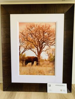 Original Signed Limited Edition Peter Lik Photograph