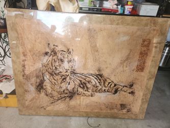 Tiger portrait