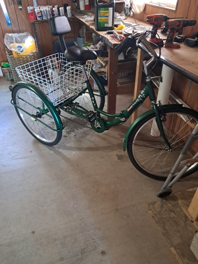Adult Tricycle