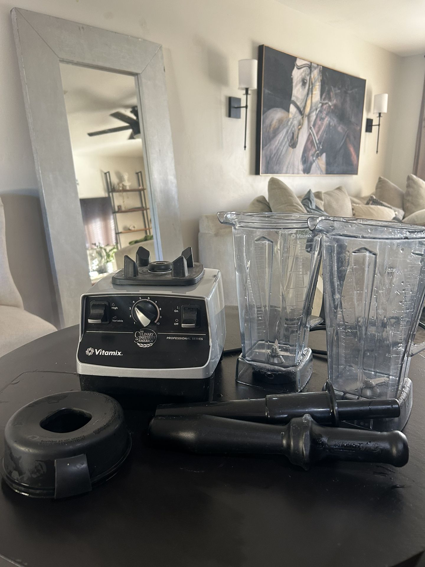 Vita Mix Vitamix Professional Series