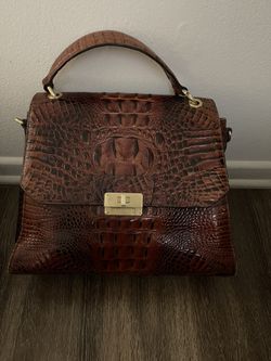Crocodile brahmin