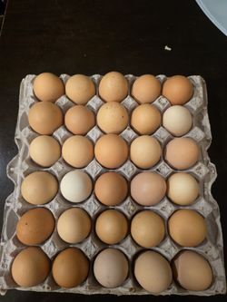 30 Fresh Farm Eggs----Unlimited Quantities--