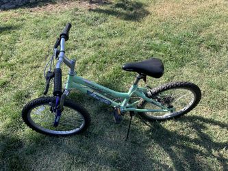 New 20” bike