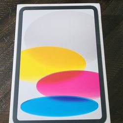  IPad (A16)  Wi-Fi + Cellular 256GB Silver Model A3355 