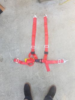 4 Point Seat Belt Harness - For Buggy