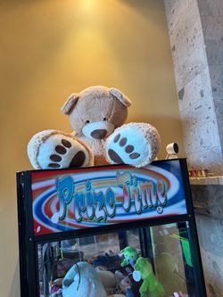 Free Giant Teddy Bear
