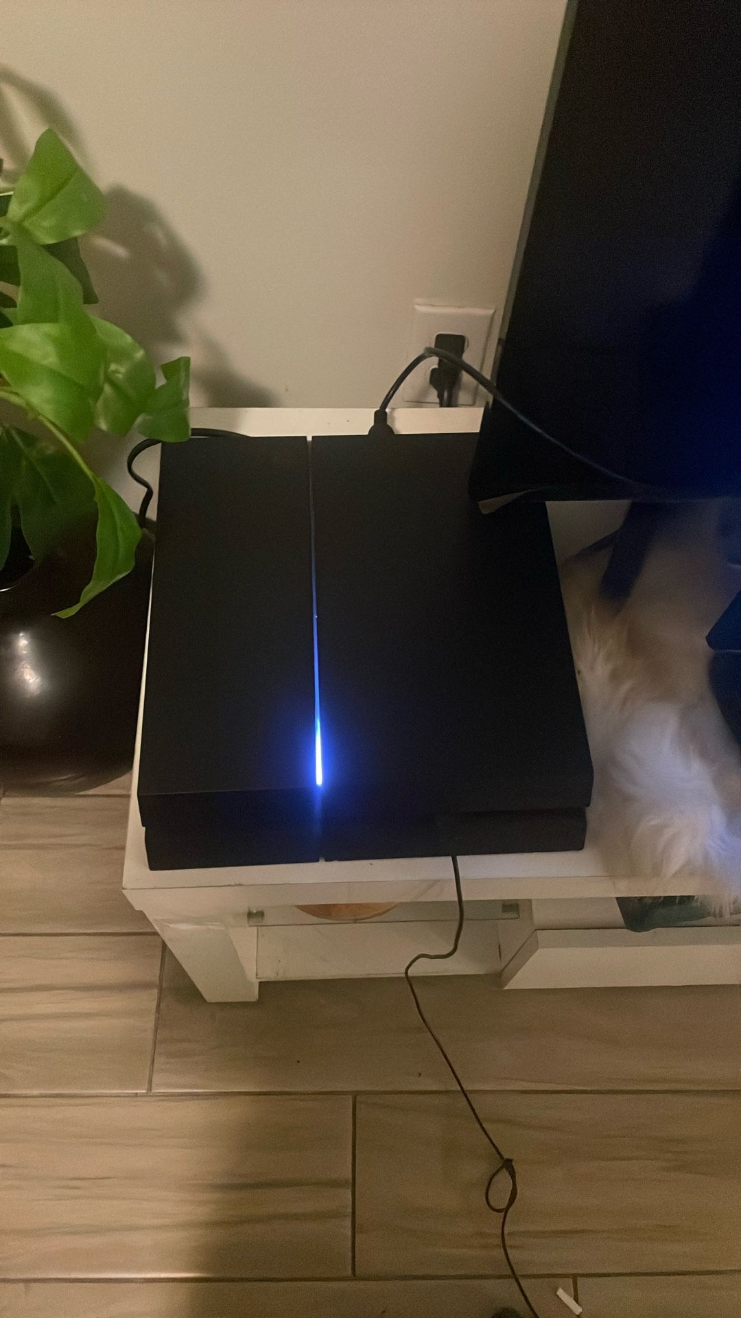 Need Gone ASAP (Read The Description)