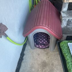 Dog House