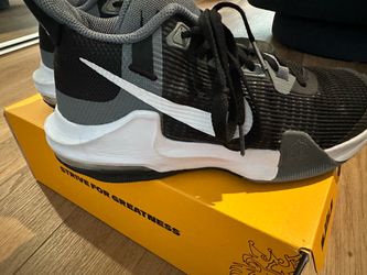 Nike LeBron Basketball Sneakers Black Gray