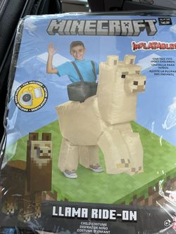 Minecraft Inflatable Costumes
