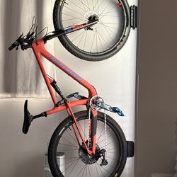 Santa Cruz Blur 29” Large