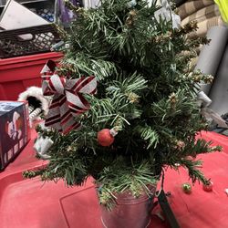 Mini Christmas Tree 2-3 Ft