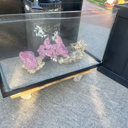 Aquarium Reef Tank Fish Tank 