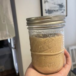 Sourdough Starter