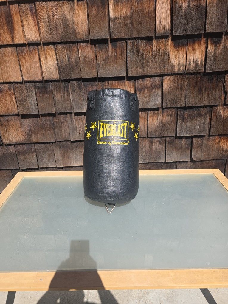 Everlast Punching/Kick Boxing Bag 26lbs