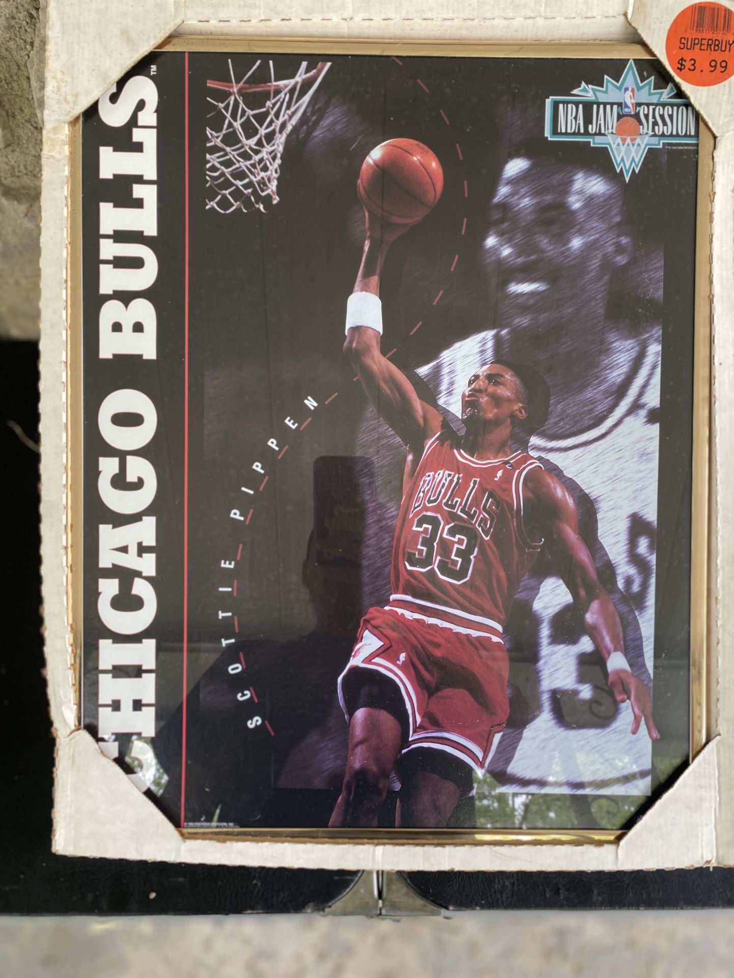 Scottie Pippen Chicago Bulls 1993 Costacos Brothers Poster NBA Jam Session