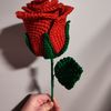 S & S Crochet