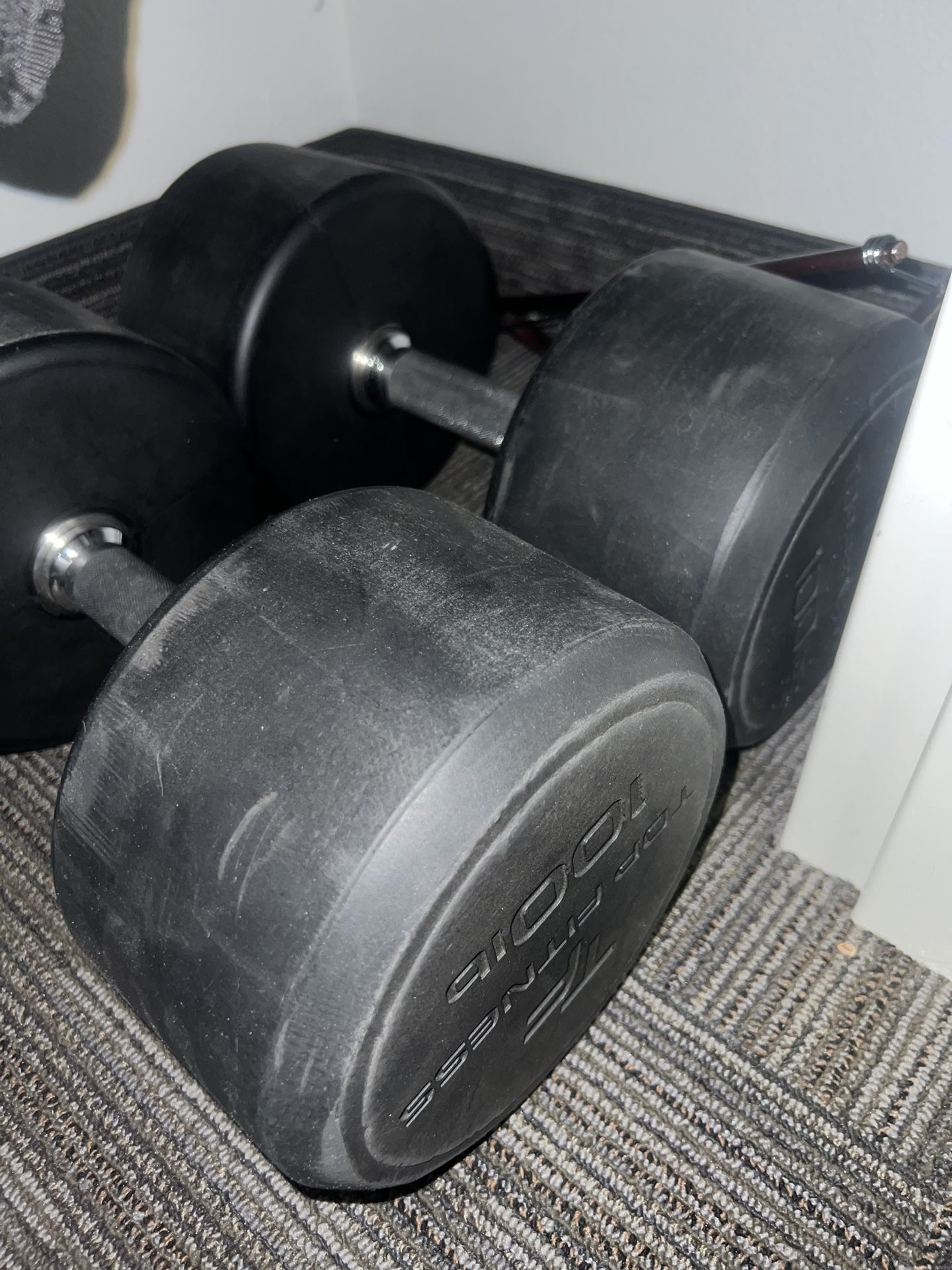 100 Pound dumbbells 