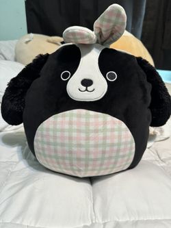 Easter Black Dog With Bunny Ears Squishmallow 