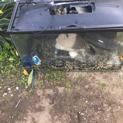 Aquarium 40 Gallon I Believe . 