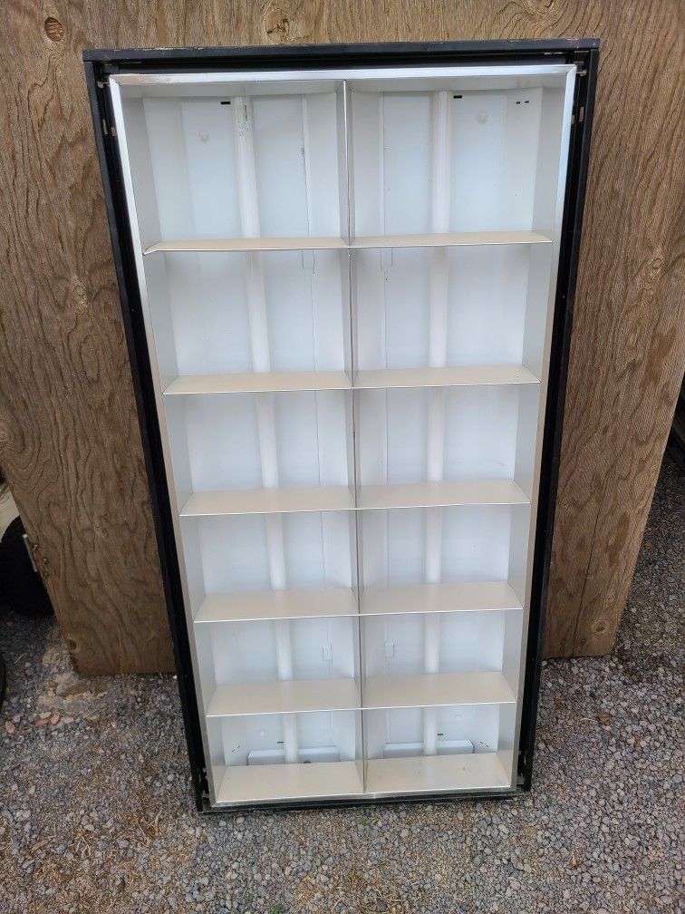 4 Fluorescent Lights