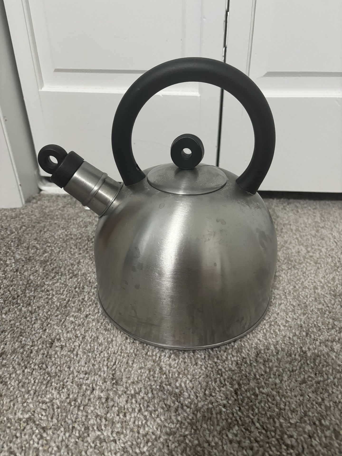 Stainless Steel Tea Kettle