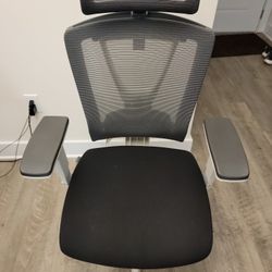 Autonomous Ergochair Pro