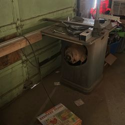 Table Saw
