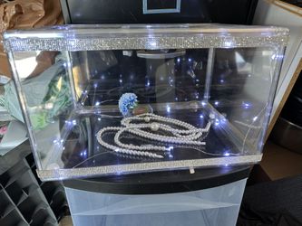 Quincenera Clear Shoe Case