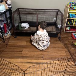 Rabbit Cage With Fencing