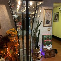 Black Contemporary Lighted Glass Curio