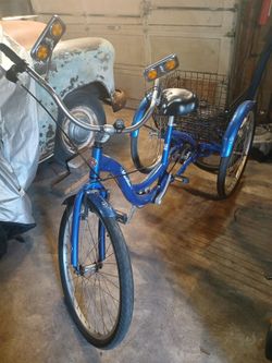 Schwinn trike