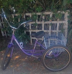 Mooncool Adult Tricycle 26" rims
