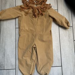 Lion Costume 