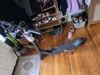 Bird electric scooter