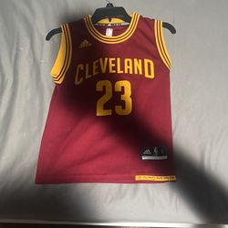 LeBron James NBA Jersey