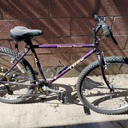 Purple Trek Bike 