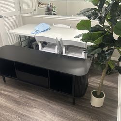 Black Tv Stand with Plant