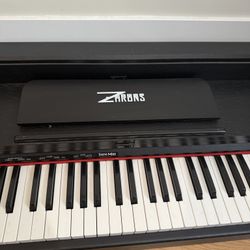 88-Key Mobile Electric piano  (I have a new korg  Stage V1)