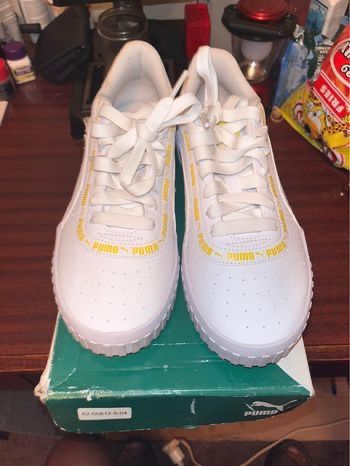 Pumas