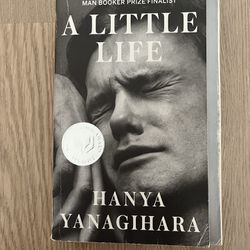 A Little Life Book